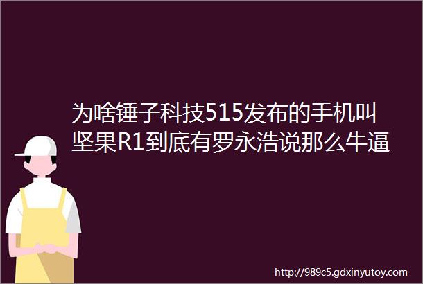 为啥锤子科技515发布的手机叫坚果R1到底有罗永浩说那么牛逼吗